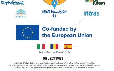 Mind Inclusion 3.0 Infographic